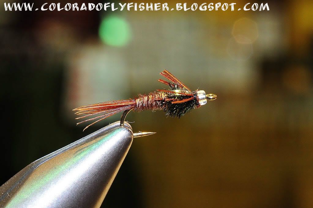 Colorado Fly Fishing Magazine Kleis's Top Ten Flies For Colorado